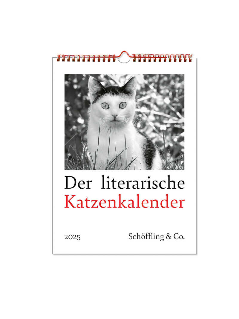 Der literarische Katzenkalender 2025 Wochenkalender