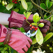 Garten-Handschuhe aus Tweed